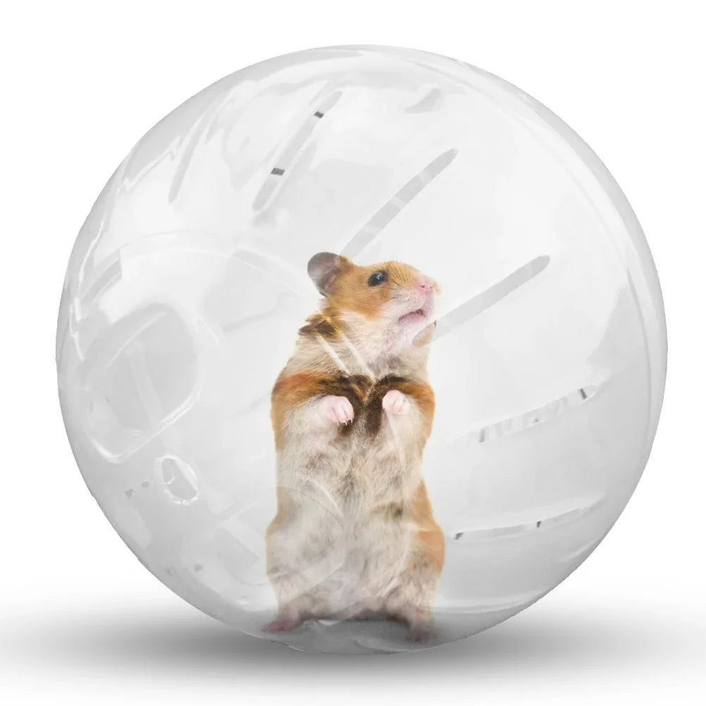 Hamster Exercise Ball