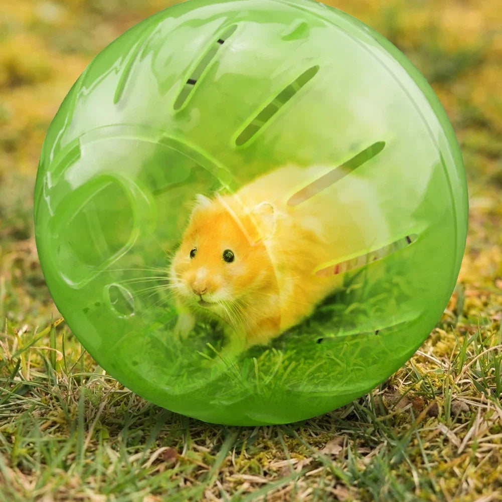 Hamster Exercise Ball