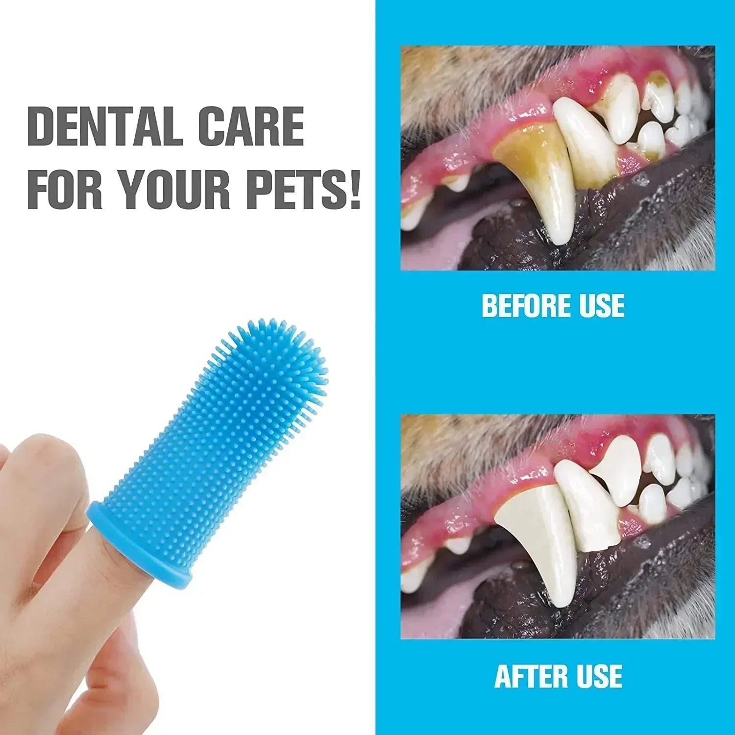 Pet Toothbrush Set