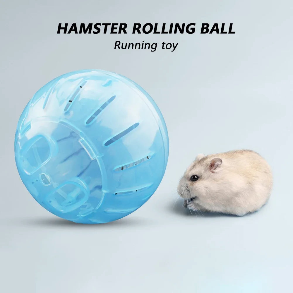 Hamster Exercise Ball